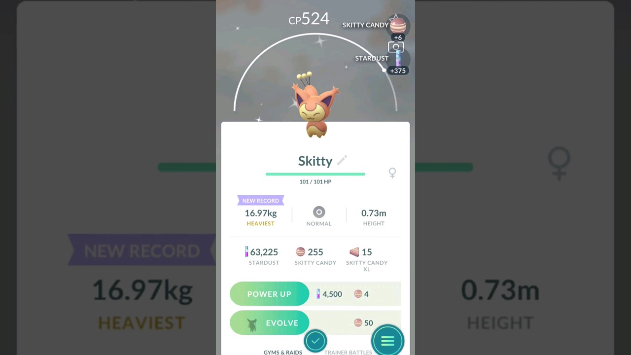Go Fest Shinies Part 3: Skitty #pokemon #pokemongo #pogo #gofest2023 #shorts