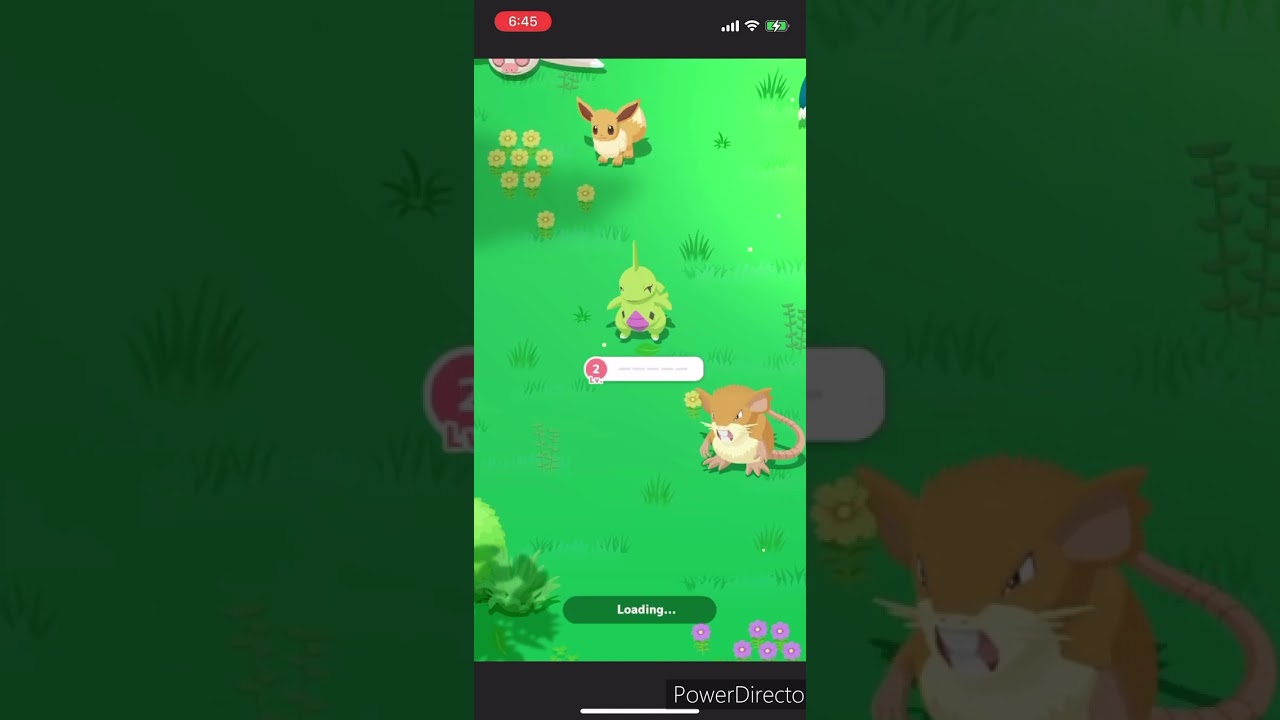 【ポケモンスリープ】色違いヨーギラスゲット