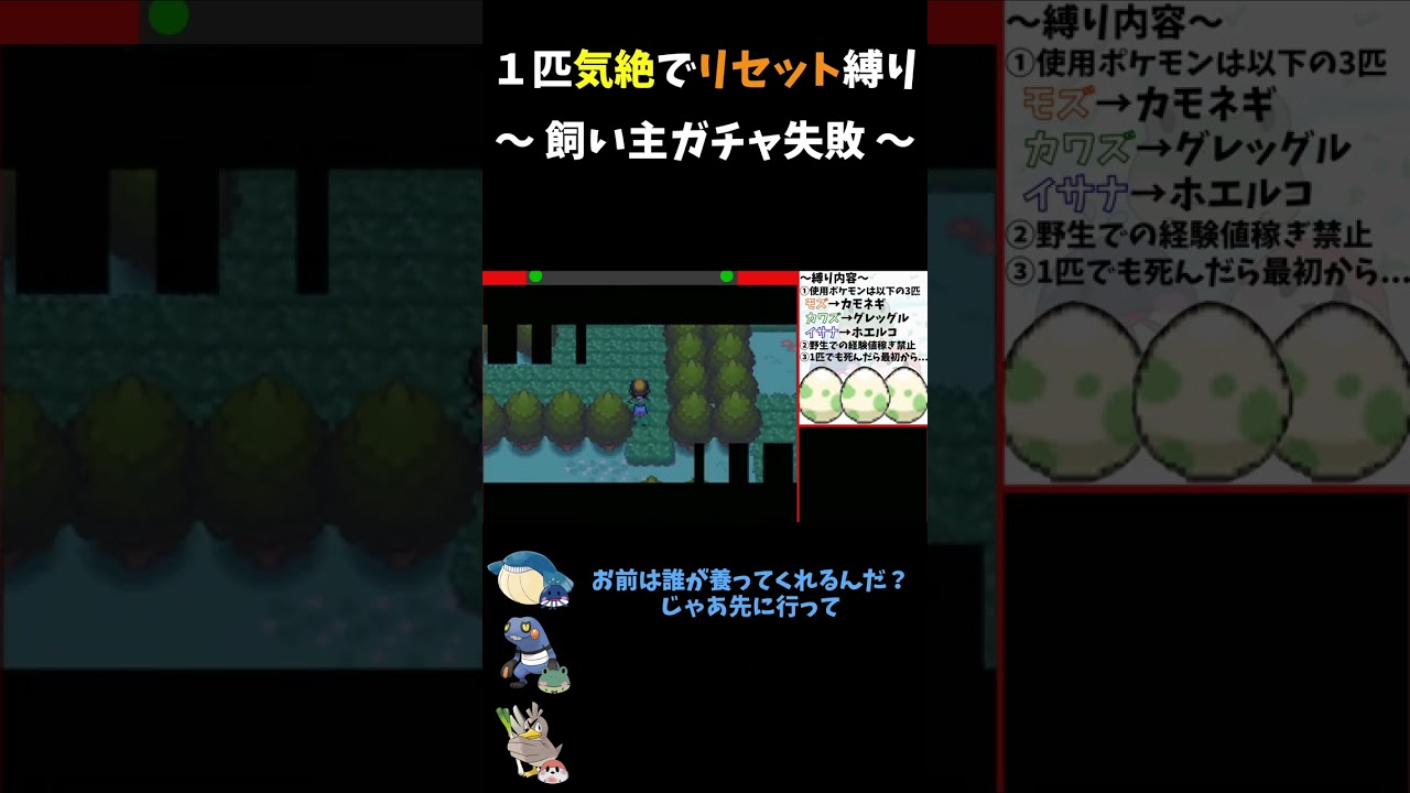 ワニノコ「先に行きたそうだ」【ポケモンHGSS】 #shorts