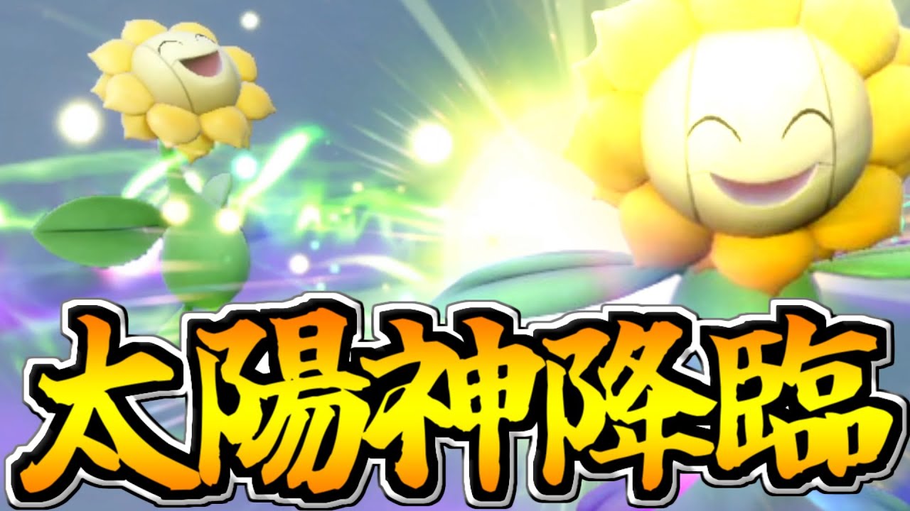 晴れの究極火力!!「太陽神キマワリ」を降臨させてみた【ポケモンSV】