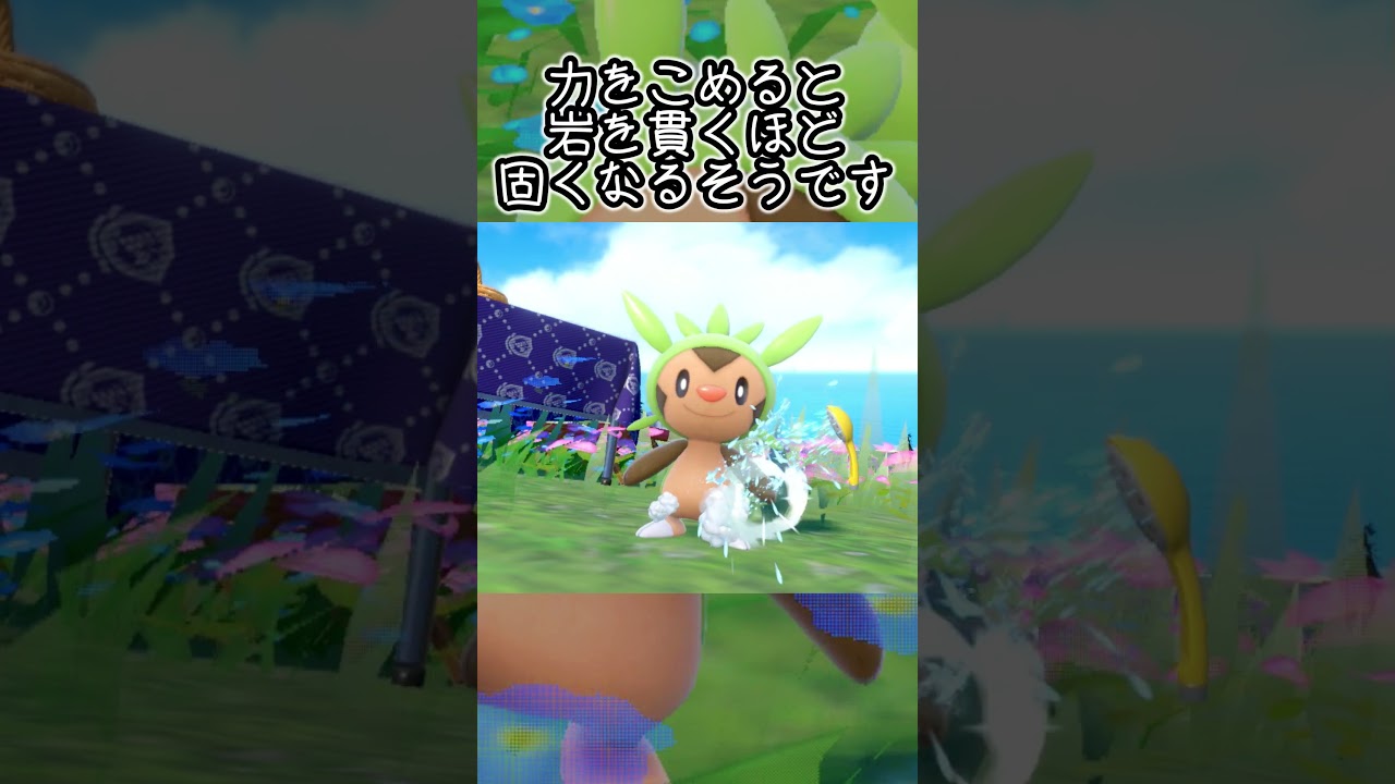 【疲れた人向け】ハリマロン6匹とピクニック【ポケモンSV】#Shorts