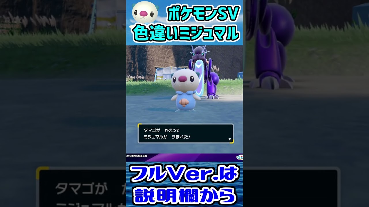 超最短で色違いのミジュマルが出てきた瞬間【ポケモンSV】#shorts