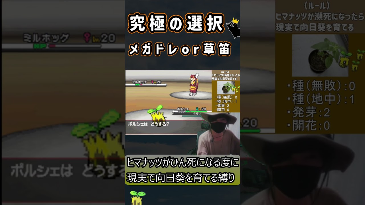 ミルホッグ相手に5分間本気で悩み続ける男#Shorts #pokemon