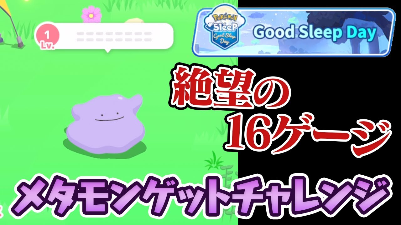 激レアのメタモン出現！育成すれば最強ポケモンに…！？【ポケモンスリープ】