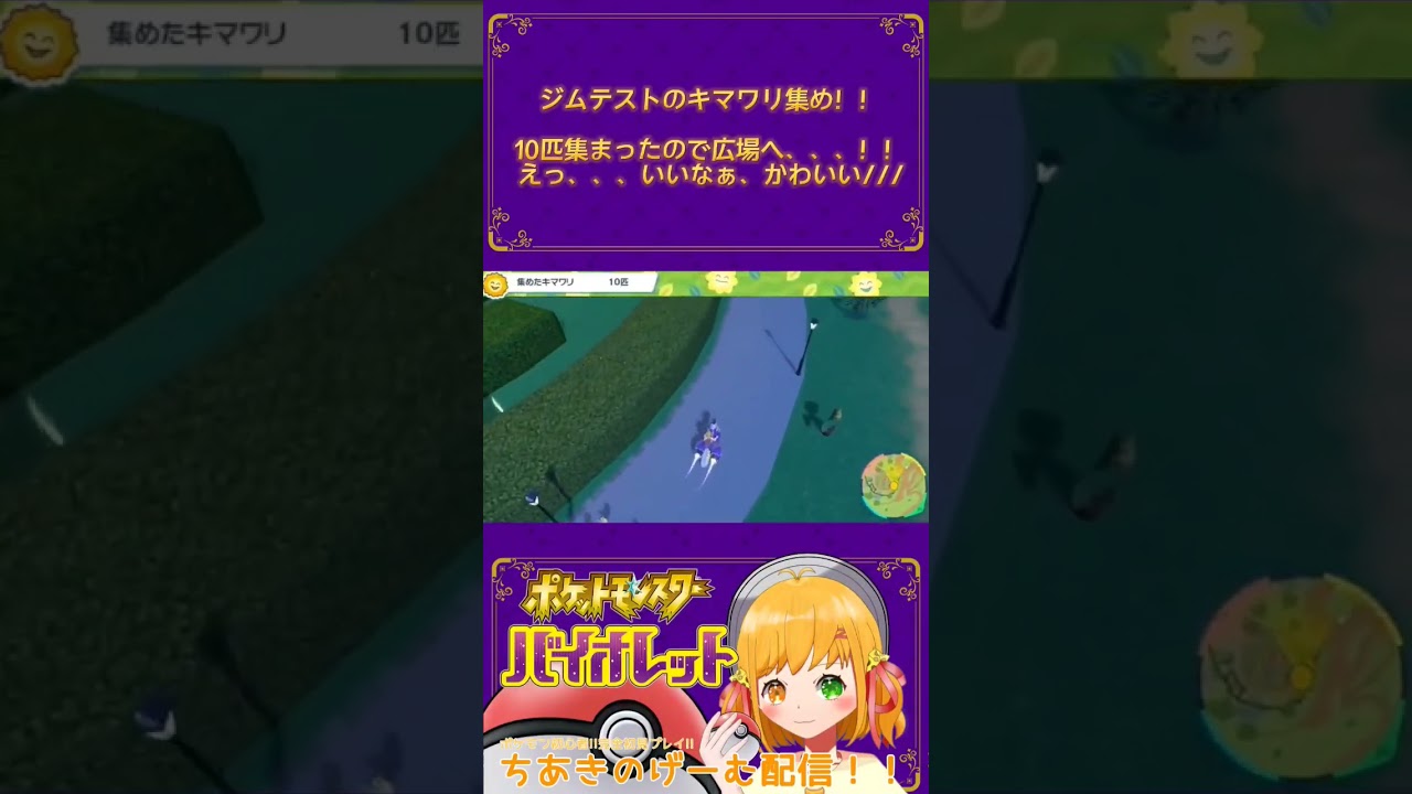 【ポケモンSV】キマワリ集めた！！広場に連れていくよ〜！！えっ、ぞろぞろついてくる、、、かわよい、、、///【ちあきのげーむ配信！！】ポケットモンスターSV #ちあきとおひるね #ちあーと