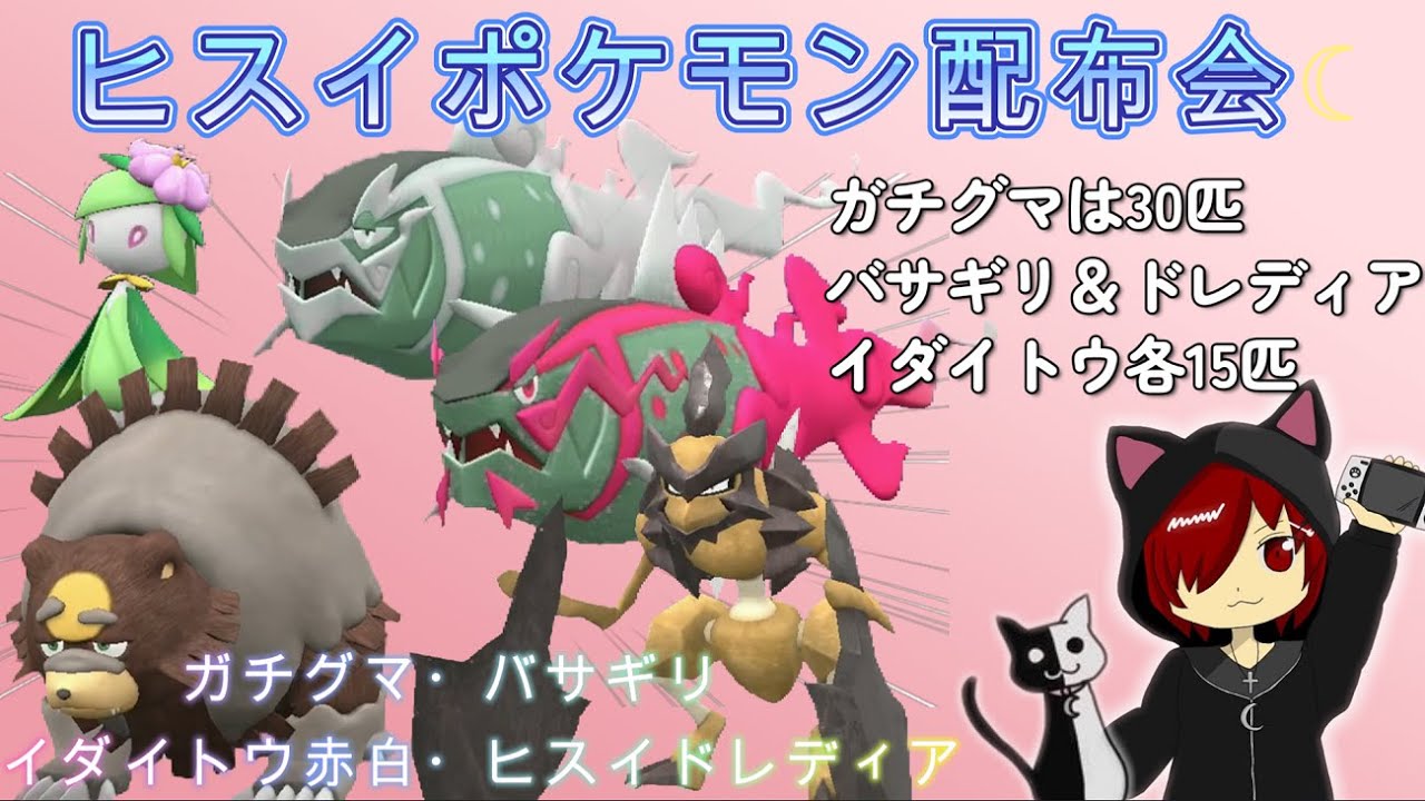 [ポケモンSV] ヒスイポケモン配布会☆今回はガチグマ(30匹)・バサギリ＆ヒスイドレディア＆イダイトウ(各15匹)(今までに配布していたヒスイポケモンも残っていたら配布します！)のんびり実況°˖✧