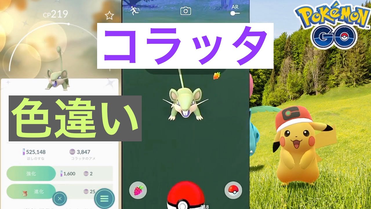 【ポケモンGO】色違いコラッタ!!
