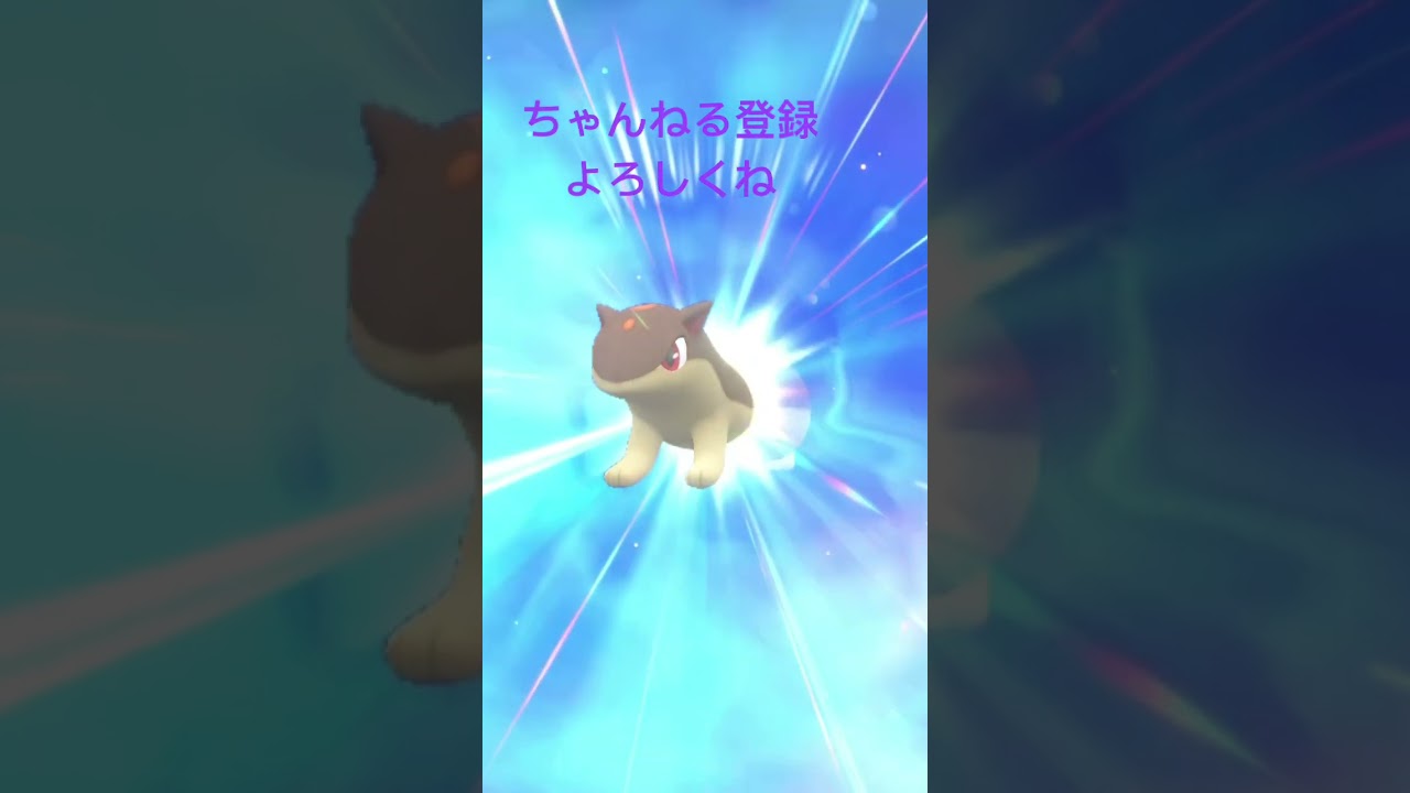 色違いマグマラシ進化させてみた #gameplay #pokemon #shiny #ポケモン #ポケモンsv #色違い