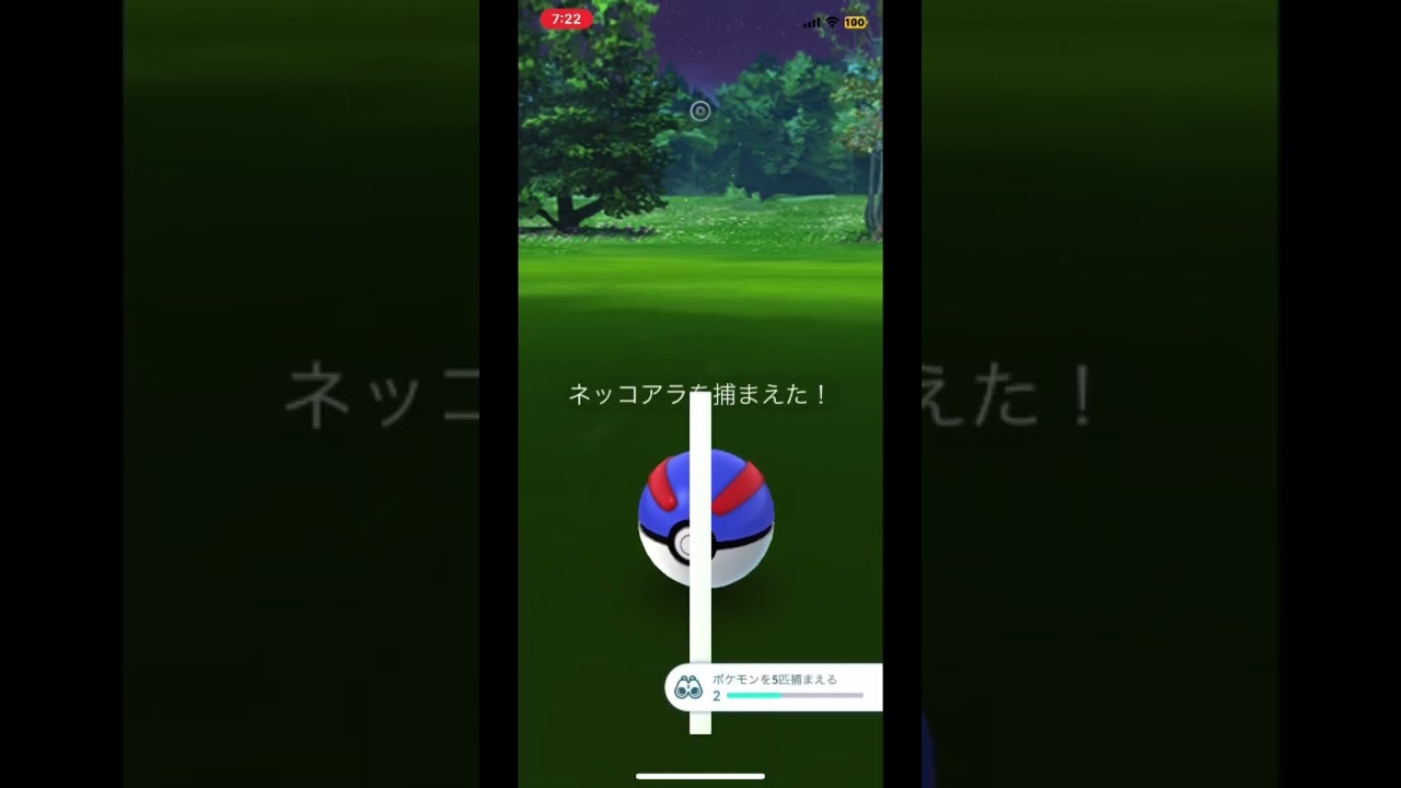 【初ネッコアラ/タスク産】#shorts #new pokemon#pokemongo #ネッコアラ　#初ポケモン　#初ゲットは#ポケモンgo #初ネッコアラ　#タスク産　#コアラ　#初図鑑登録