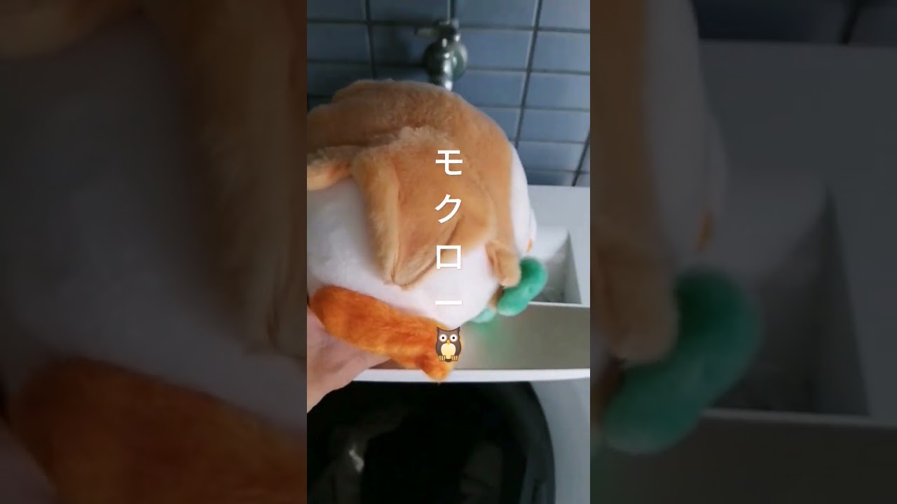 モクロー虐3【ポケモンユナイト】