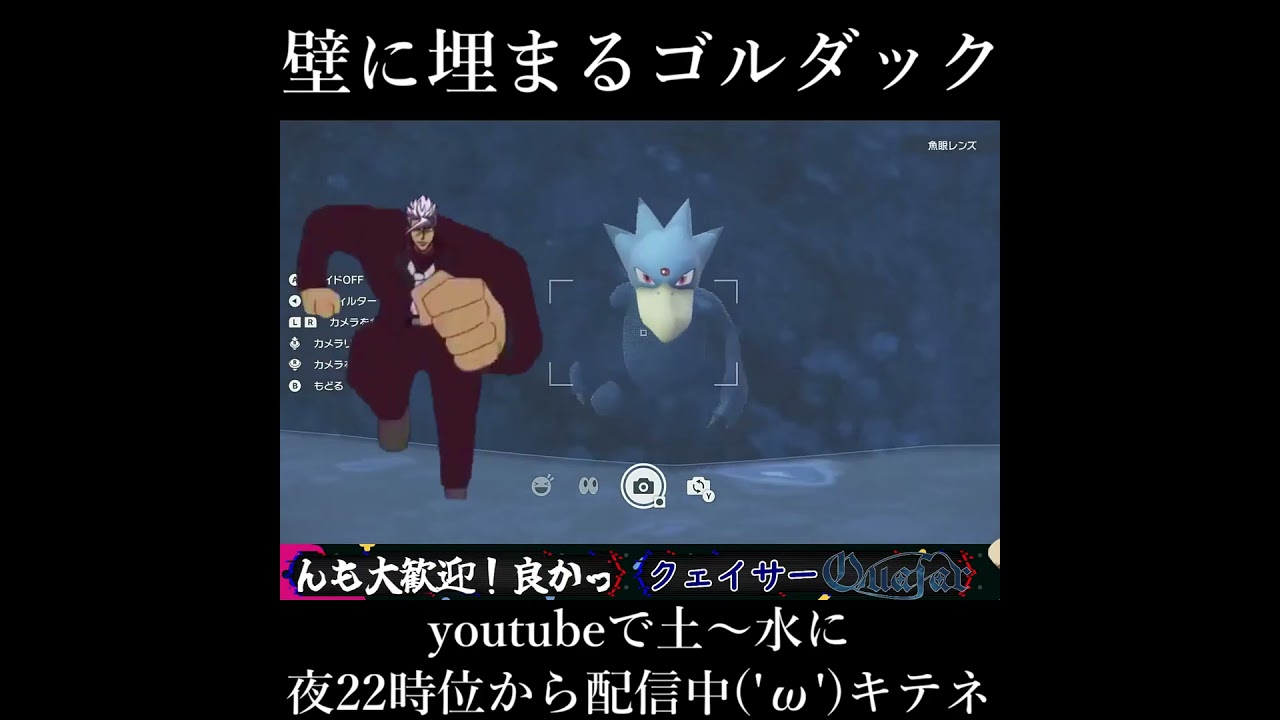 壁に埋まるゴルダック【ポケモンSV】#shorts