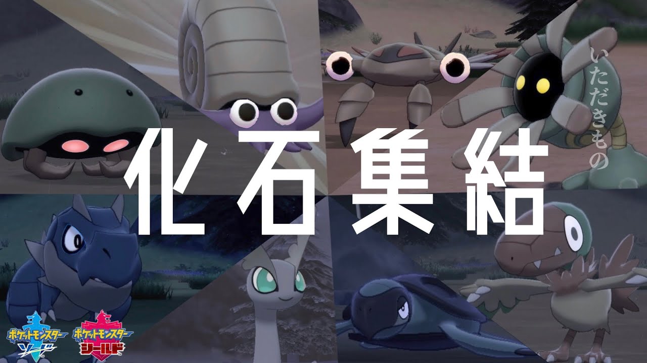【ポケモン剣盾】進化する化石ポケモンを色違いで揃える！