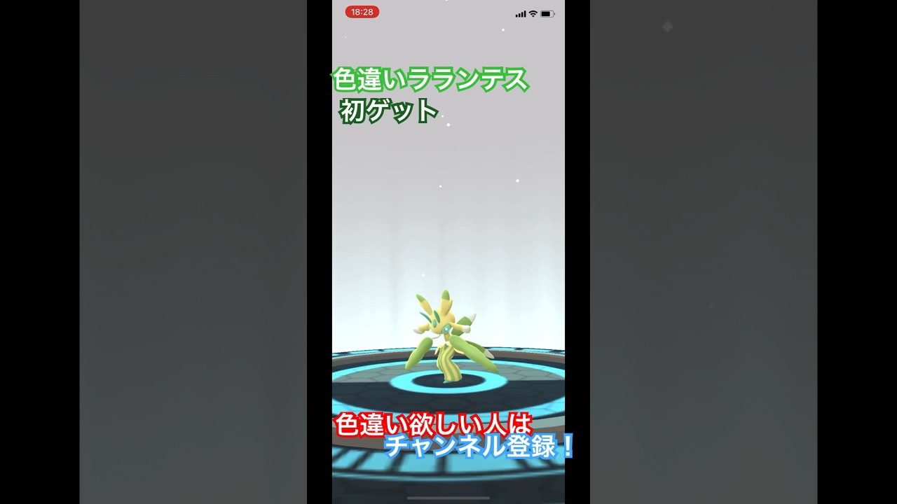 色違いラランテス初ゲット！ #short #shorts #ポケモン #ポケgo #ポケモンgo #色違い #ポケモンgo色違い