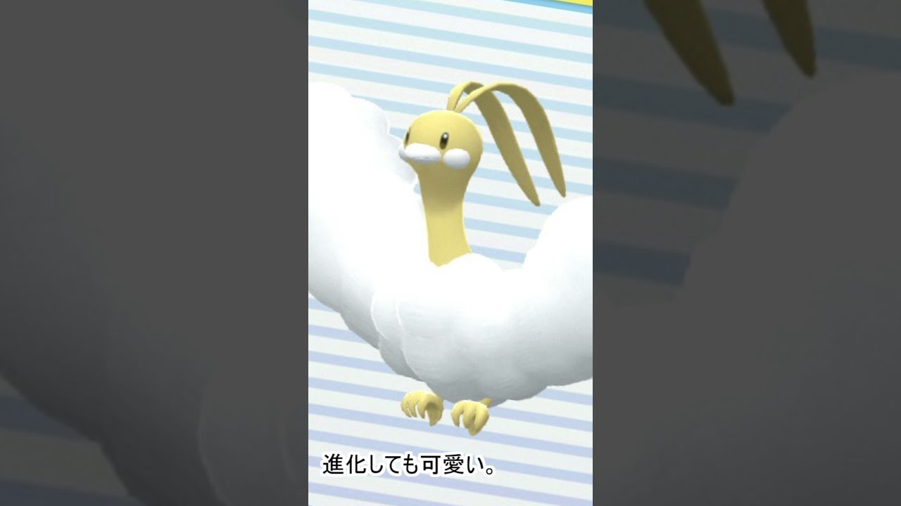 【ポケモンBDSP】ポケトレ連鎖！211番道路でイロチ探し！！【チルット】　#Shorts