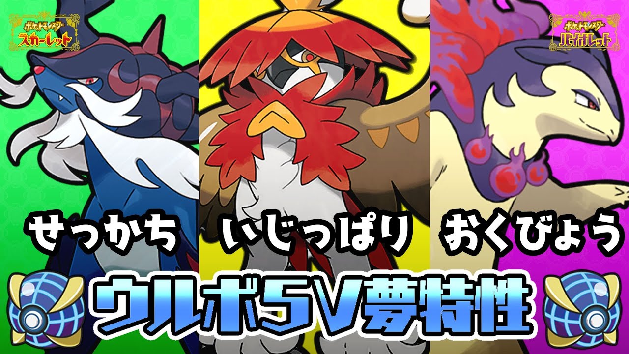 【 ポケモンSV 】初見さん歓迎！ウルボ５V夢特性！ヒスイ御三家配布！【 バイオレット 】＃７６