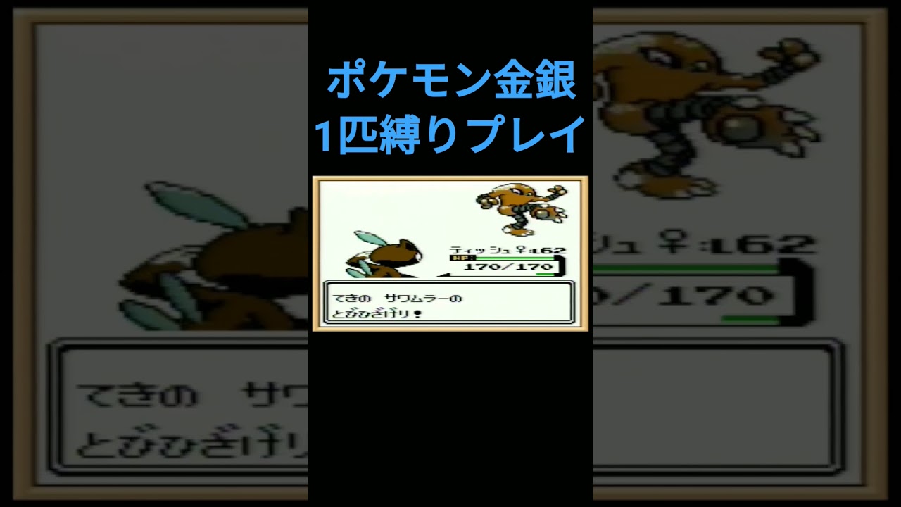 【ポケモン金銀】ポケモン金銀1匹縛りプレイ!!ニューラver【縛りプレイ】#ポケモン金銀 #縛りプレイ #ニューラ #ゲーム実況
