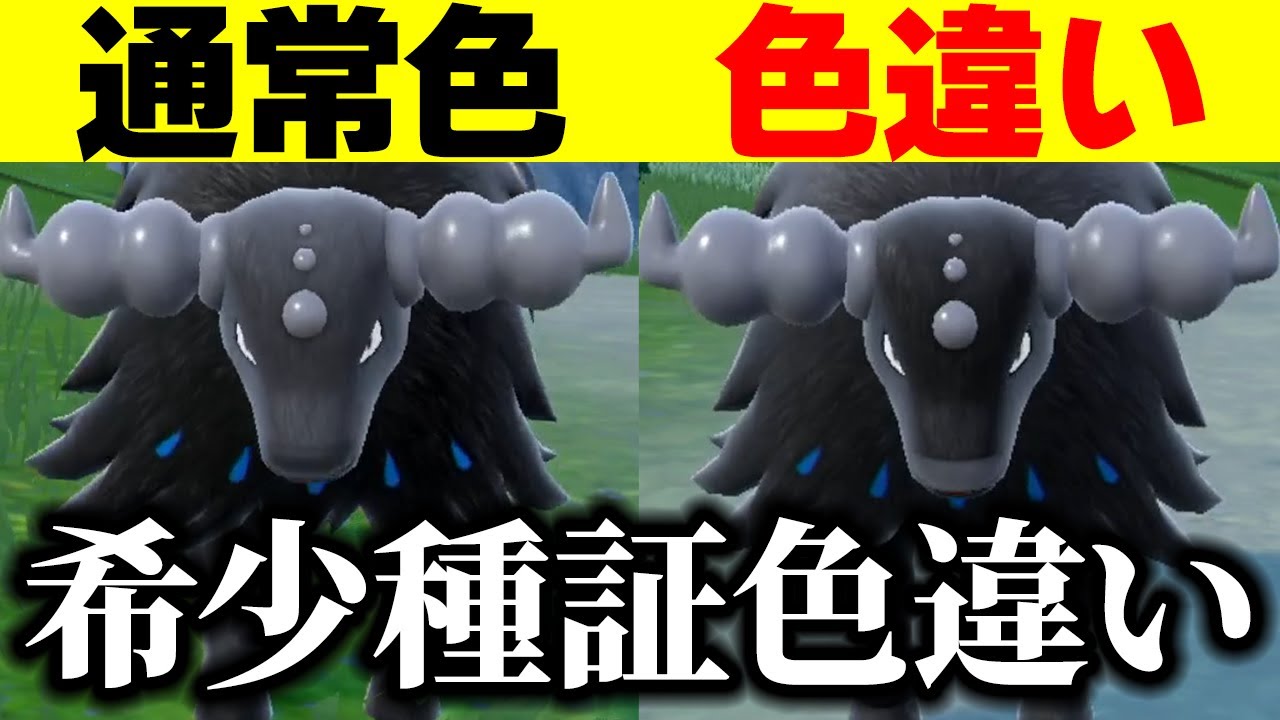 色違い証希少種ケンタロスが出た男【ポケモンSV】