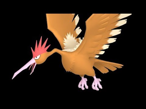 Spearow evolves into... #Fearow #Kanto #original #021 #022 #pokemon #pokemongo #bird  #fly #shorts