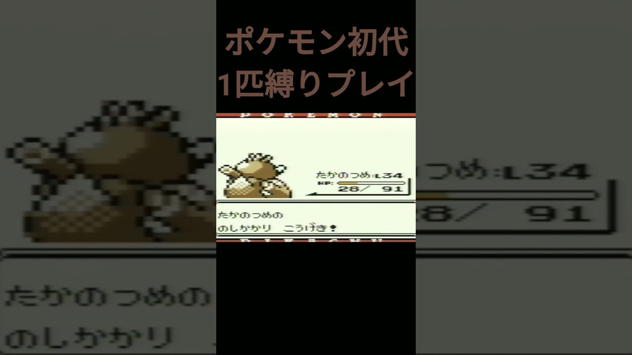 【ポケモン初代】ポケモン初代1匹縛りプレイ!!カモネギver【縛りプレイ】#ポケモン初代 #縛りプレイ #カモネギ #ゲーム実況
