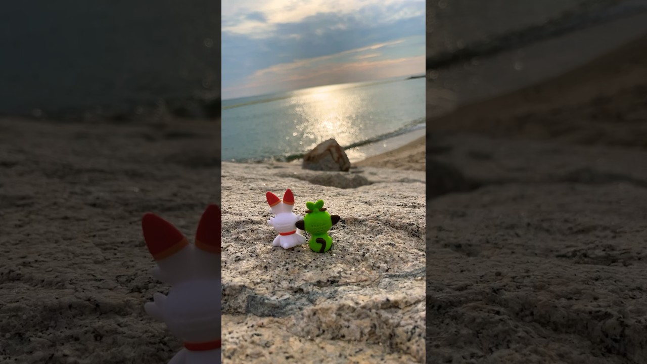 友情を確かめ合うヒバニーとサルノリw#shorts #short #youtubeshorts #ポケモン #pokemon #海#ocean #友情#友達