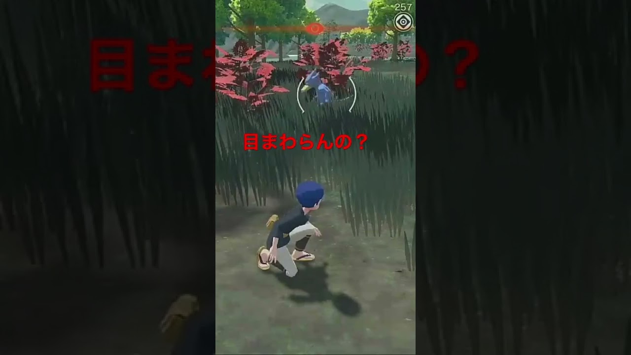 ポケモン　アルセウス　ぐるぐるバットをするゴルダック