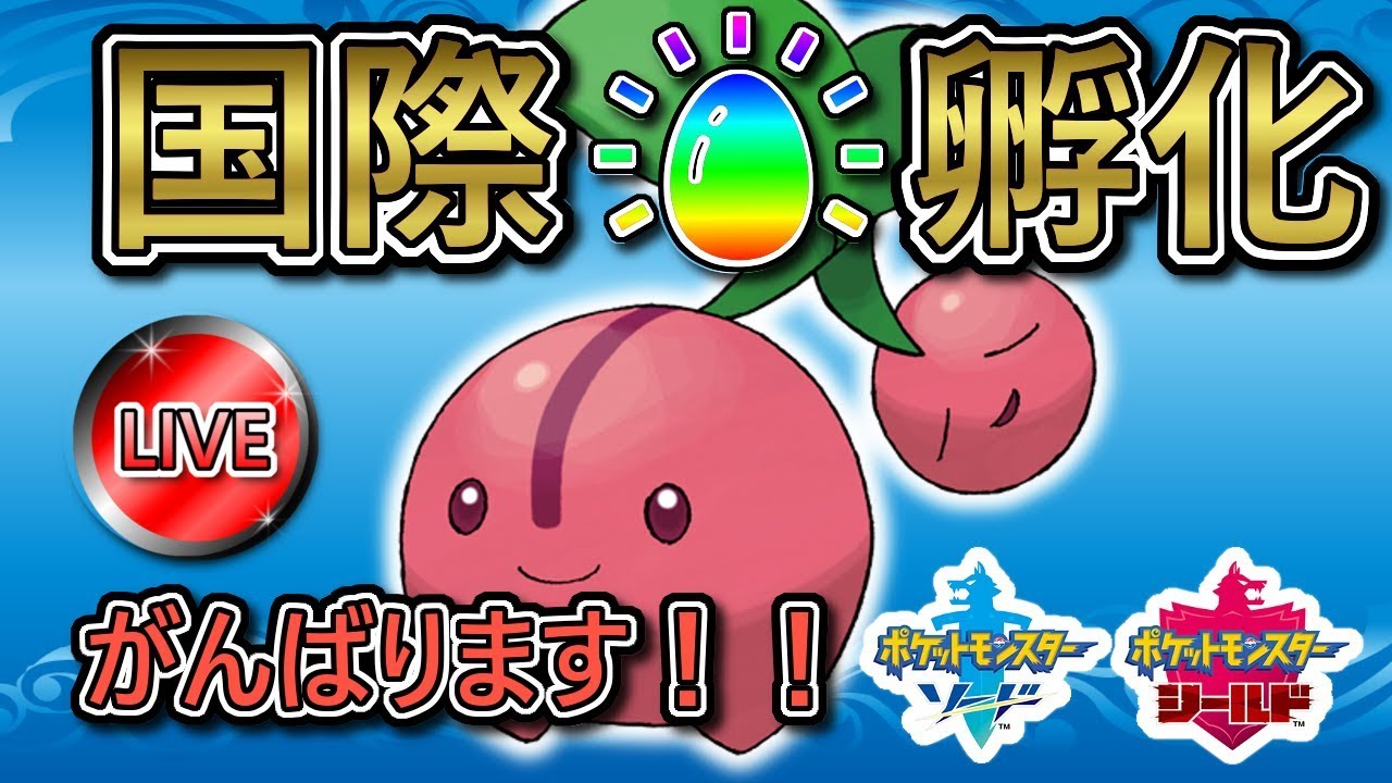 【ポケモン剣盾】国際孵化 チェリンボ576匹～