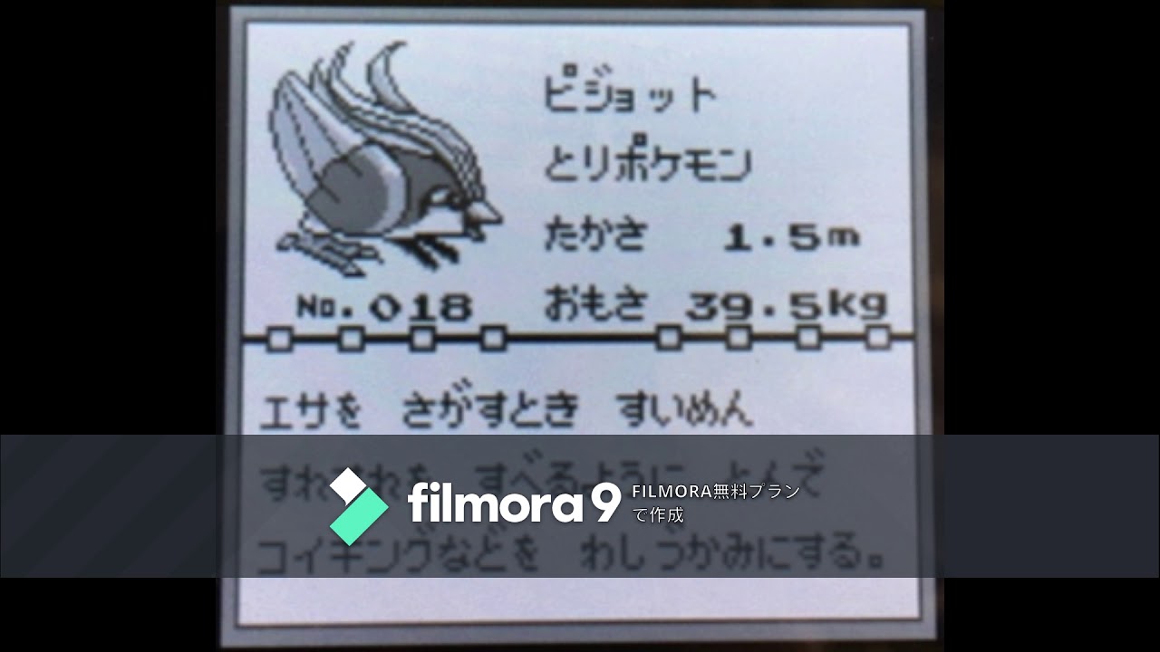 【図鑑NO018】ピジョット　鳴き声