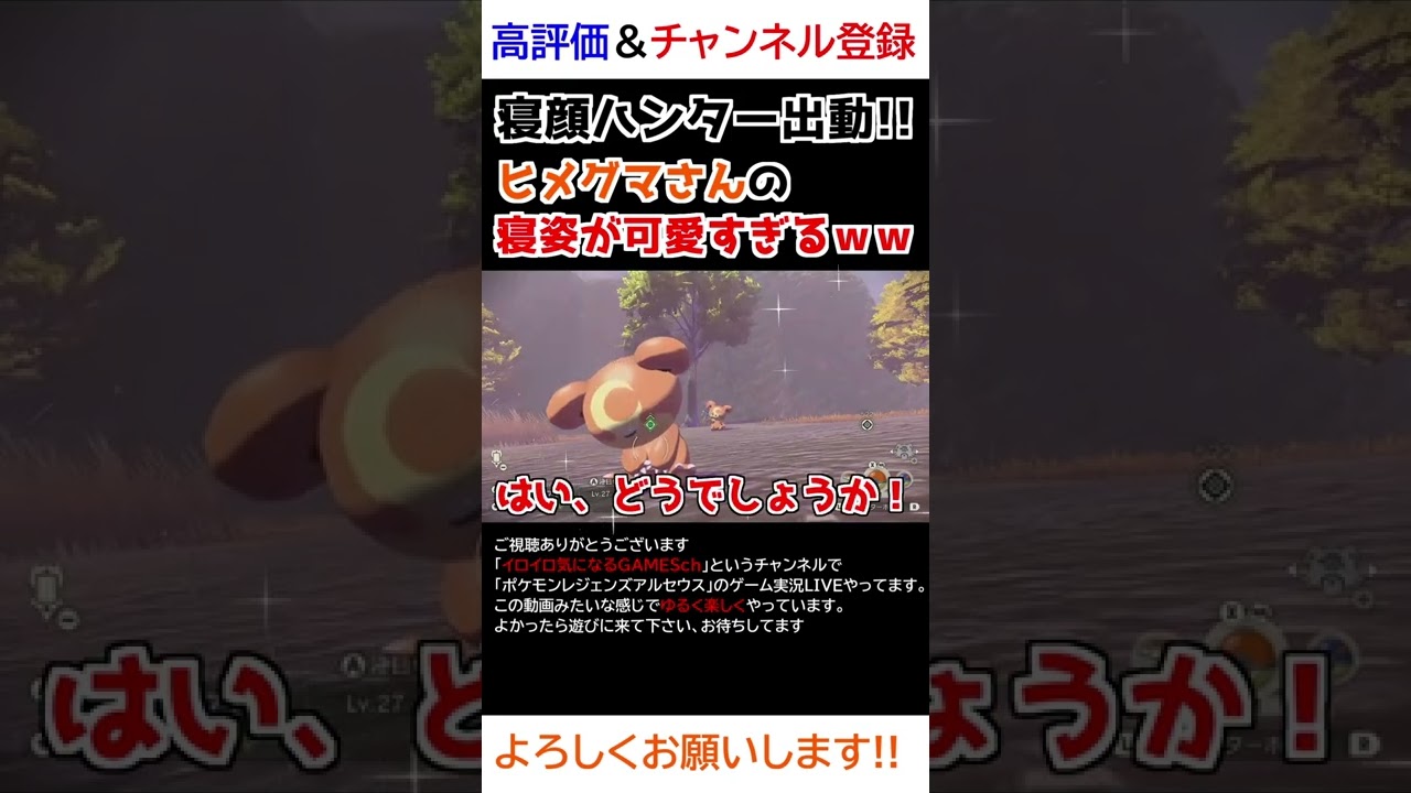 ヒメグマさんの「寝姿」が可愛すぎるww【Pokémon LEGENDS アルセウス】【寝顔ハンター】