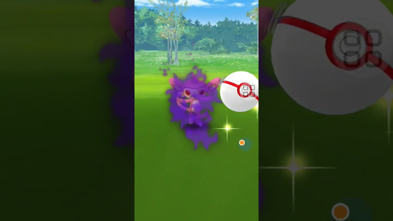 Shiny Shadow Aipom/l'aipom d’ombre shiny!