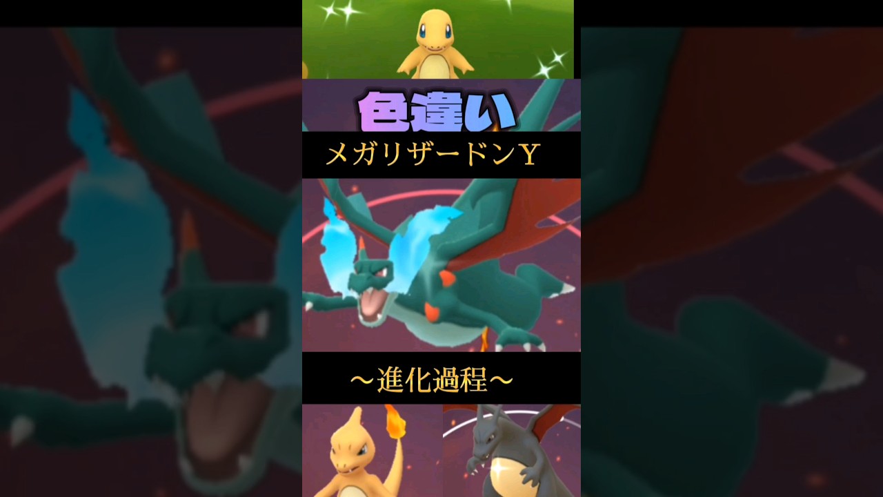 色違いメガリザードンY 進化過程 #ポケモン