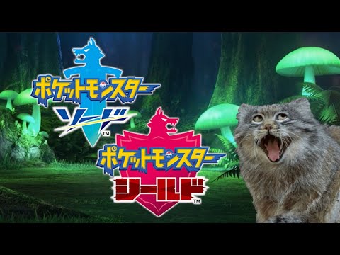 【ポケモン剣盾】フォクスライ厳選