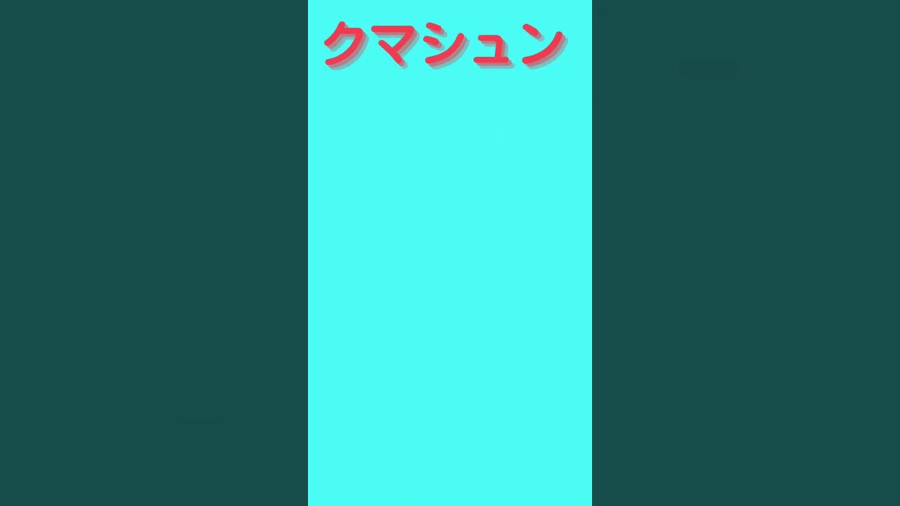 本日のスポットライトアワーはクマシュン❗️