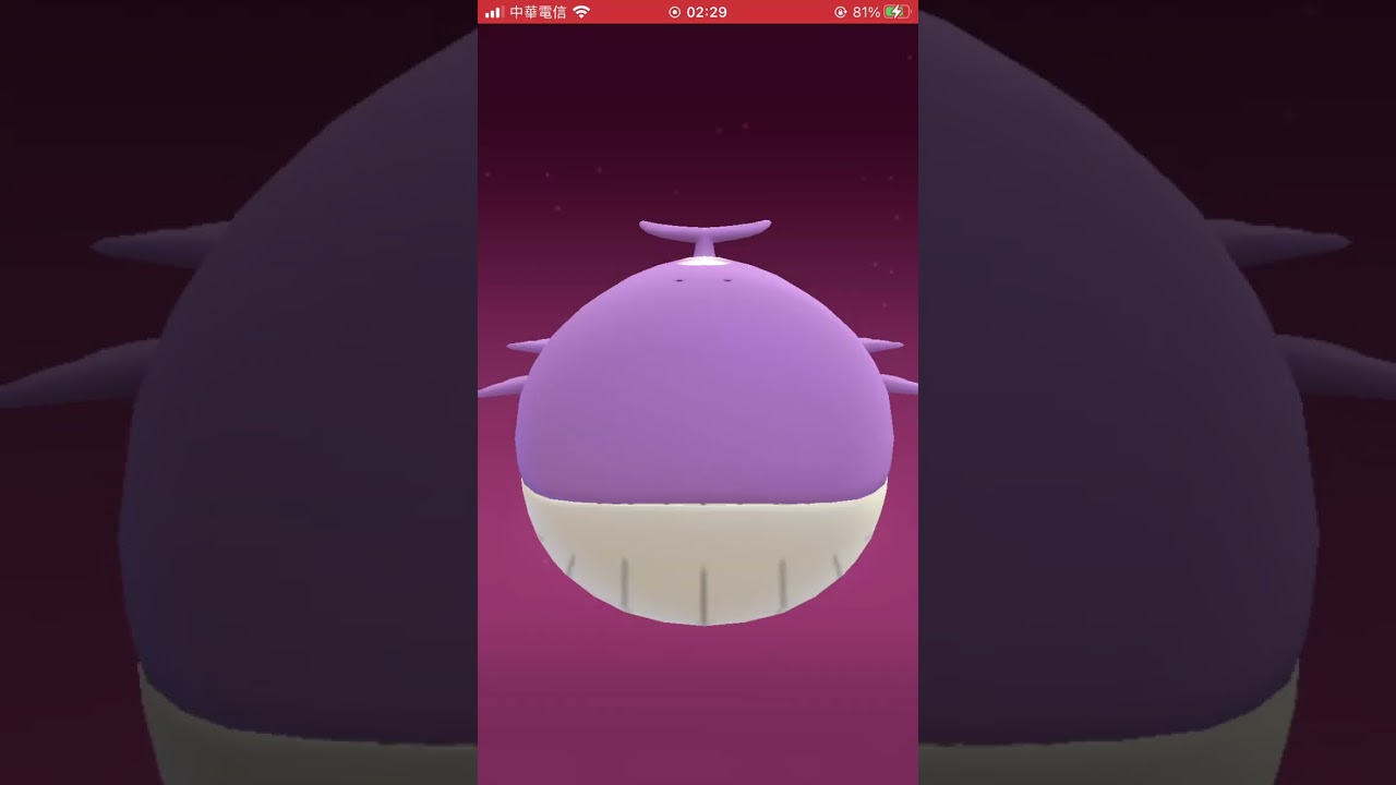 野生的異色 吼鯨王 ホエルオー Wailord #pokemongo