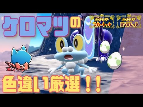【ポケモンSV】 #1 色違いケロマツの色違い孵化厳選をする！！ 200匹目～ㅤ【雑談配信】