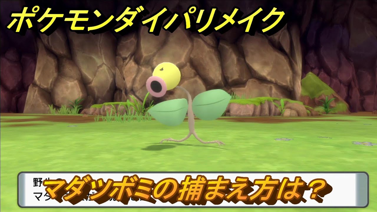 ポケモンダイパリメイク　マダツボミの捕まえ方は？出現場所は？　最新版【ブリリアントダイヤモンド・シャイニングパール】