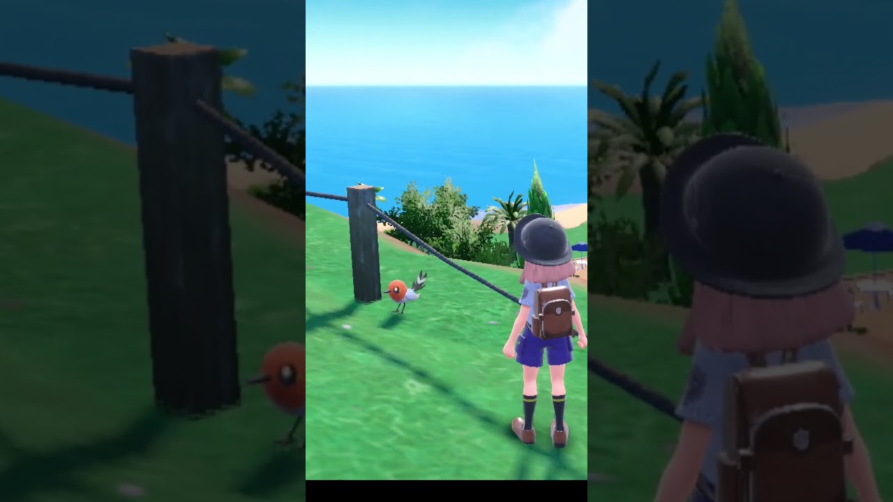 柵に拒まれるも勝利するヤヤコマ #shorts  #ポケモンSV #英雄の証 #モンスターハンター #MH #音mad
