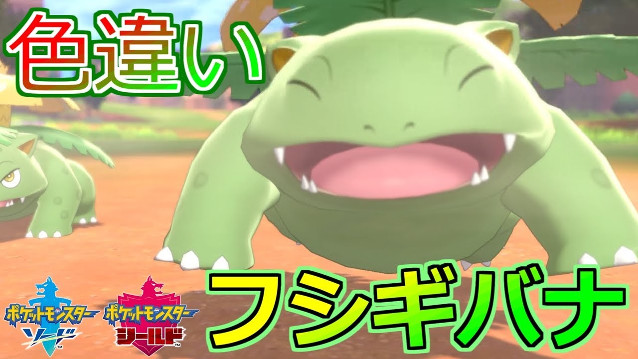 【ポケモン剣盾】タマゴ産フシギバナの色違いがどうしても欲しい【ポケモンソードシールド】