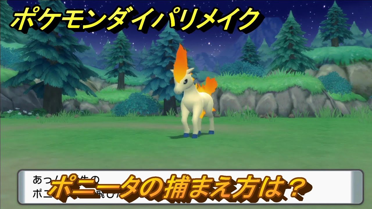 ポケモンダイパリメイク　ポニータの捕まえ方は？出現場所は？　最新版【ブリリアントダイヤモンド・シャイニングパール】