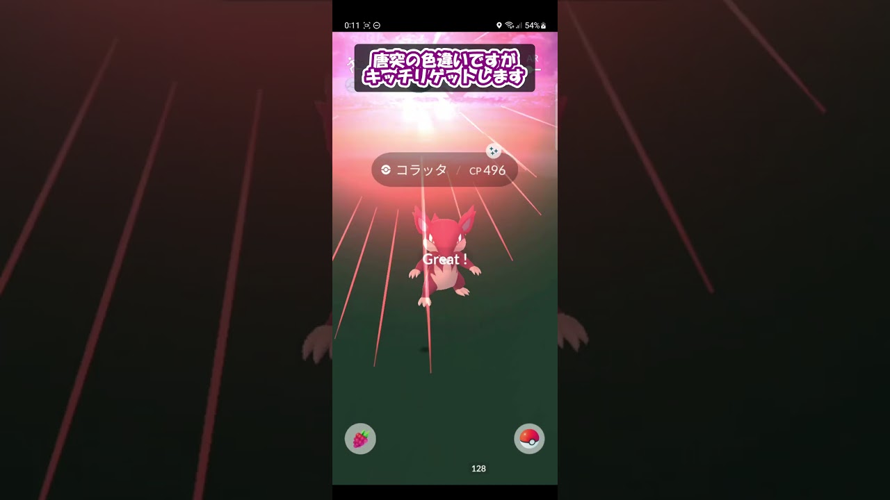 7/17（月）のGBLライブ配信直後に色違いコラッタをゲット！【ポケモンGO】 #Shorts