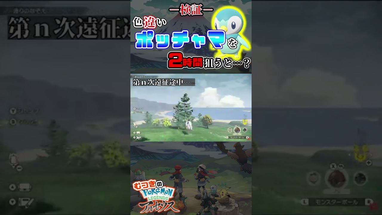 【#ポケモンアルセウス】検証（？）色違いポッチャマを狙うと…【#PokémonLEGENDS アルセウス】#ポケモンレジェンズ #Shorts
