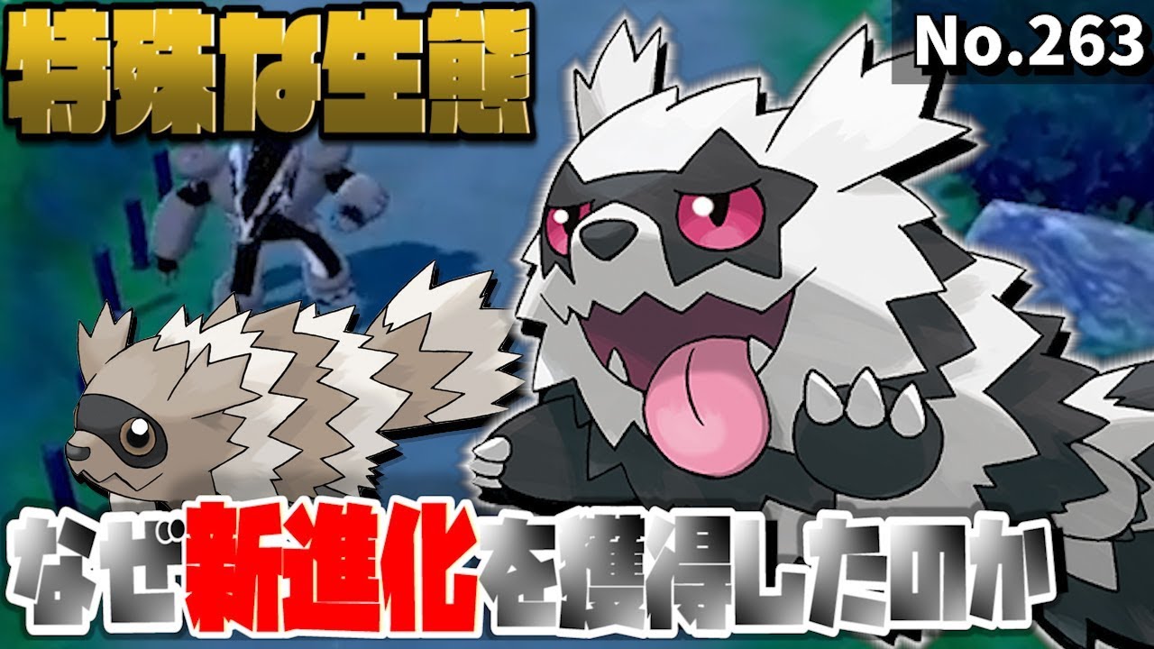 【ポケモン解説】ガラルジグザグマは”原種”！ホウエンとの環境差が生み出す新たな進化に迫る！【ポケモン剣盾】【ソードシールド】