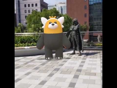 이븐곰 ( Bewear ) キテルグマ ( 穿著熊 )