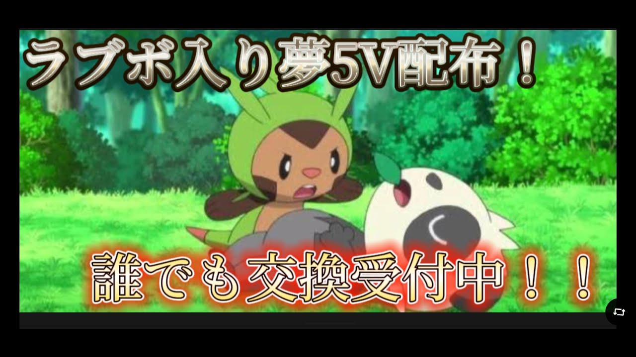 ラブボ入りハリマロンを交換希望者全員に配布したい配信！初見さん大歓迎&遠慮なく交換申し込んでね【ポケモンSV】