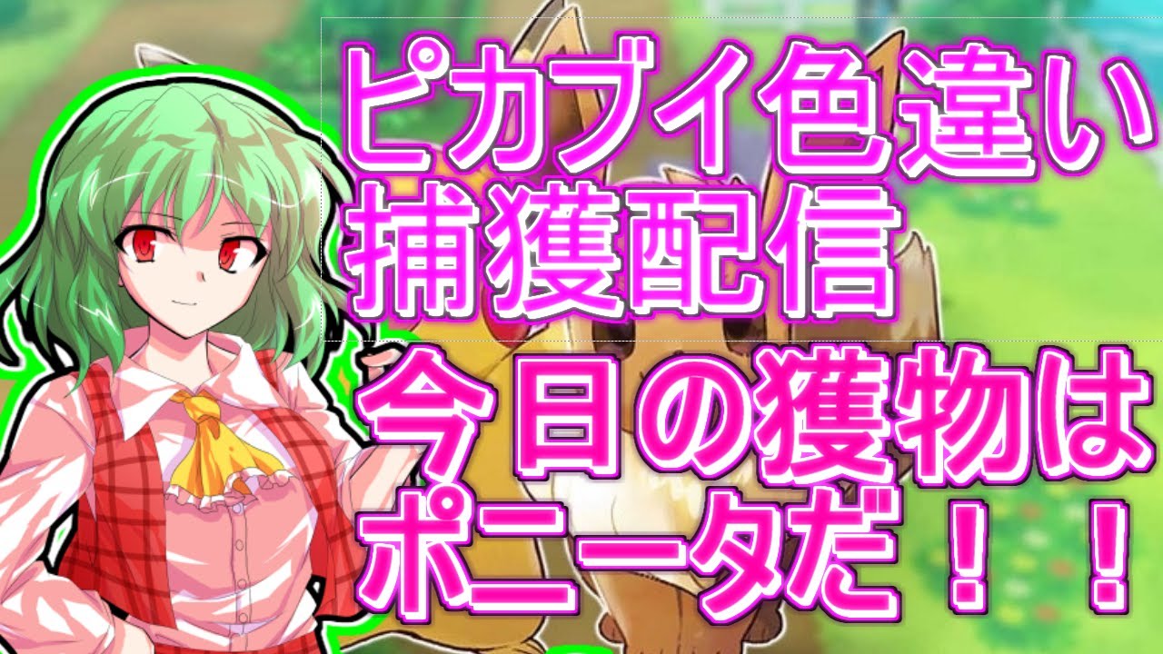 ピカブイで色ポニータ捕獲します。