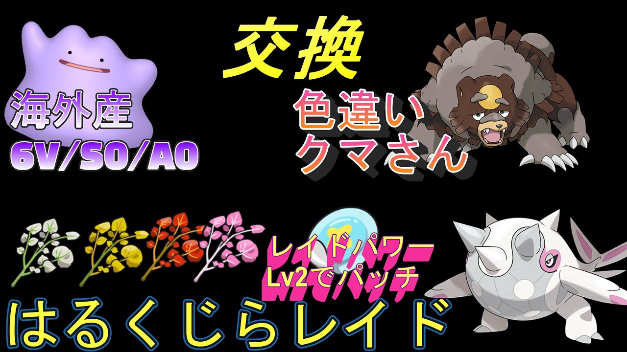 ポケGOではパルデアが解禁　数体限定 色違いガチグマ   海外産 6V S0 A0メタモン 配布　「Pokémon」「ポケモンSV」 9月5日　配布ライブ