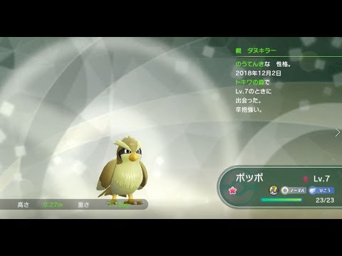 ピカブイ　色違いポッポ　　　ポケットモンスター Let's Go! ピカチュウ