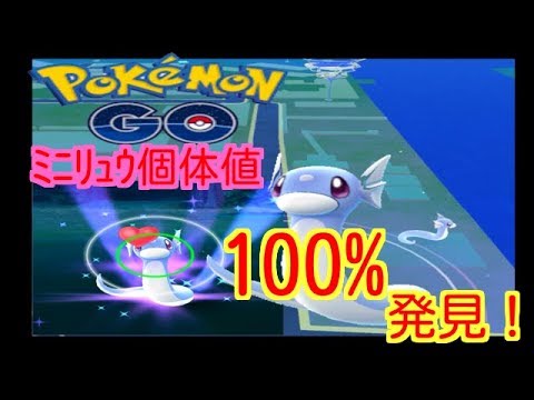 【ポケモンGO】ﾐﾆﾘｭｳ個体値MAX100%発見！【PokemonGO】