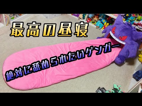 絶対に舐められたいゲンガー【プレミアムバンダイ】ポケモン