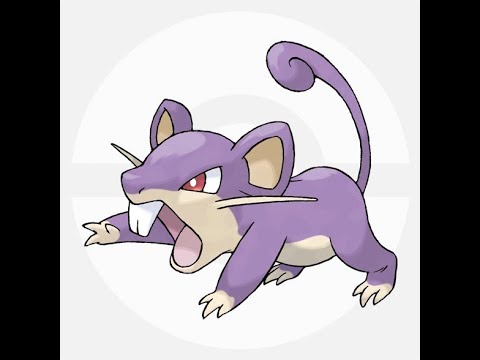 【ポケモン】HG　コラッタだけで勝てるもんpart1