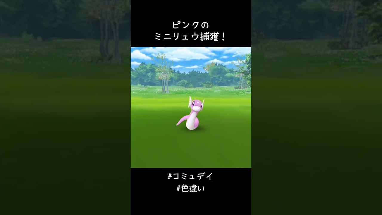 ピンクのミニリュウ捕獲✨✨✨めちゃめちゃかわいいやないかい！！相棒ナイスアシスト👍#ポケモンGO #PokemonGOCommunityDay #色違い